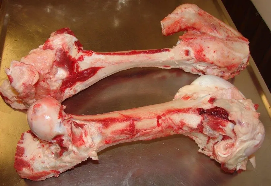 Xương ống bò Úc Xương ống bò Úc